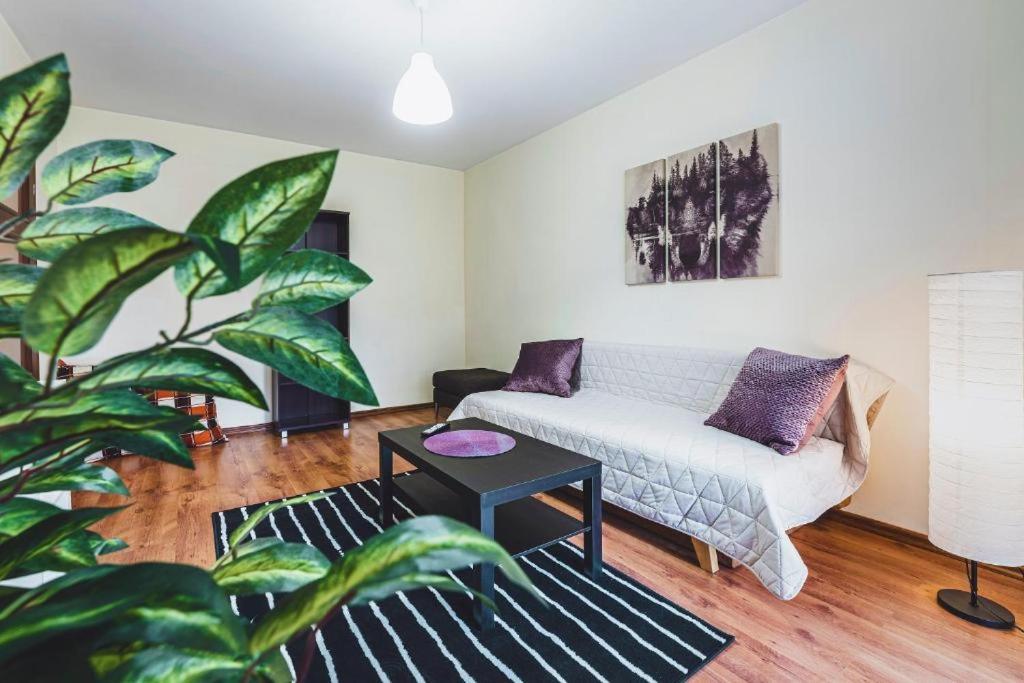 Apartament Niecala Queens Superior لوبلين المظهر الخارجي الصورة